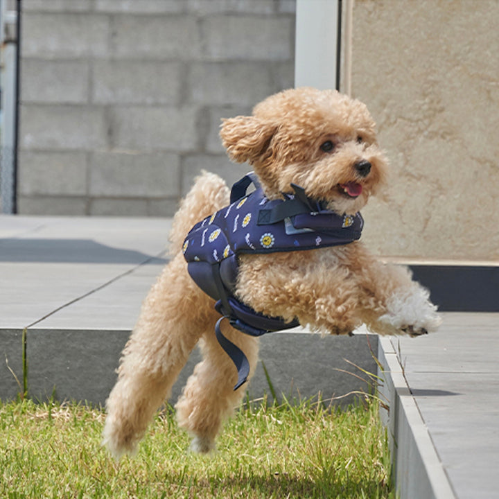※予約販売【Bailey】Daisy Life Jacket（4color）