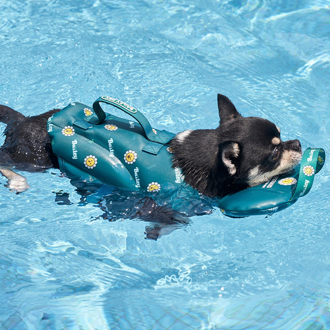 ※予約販売【Bailey】Daisy Life Jacket（4color）