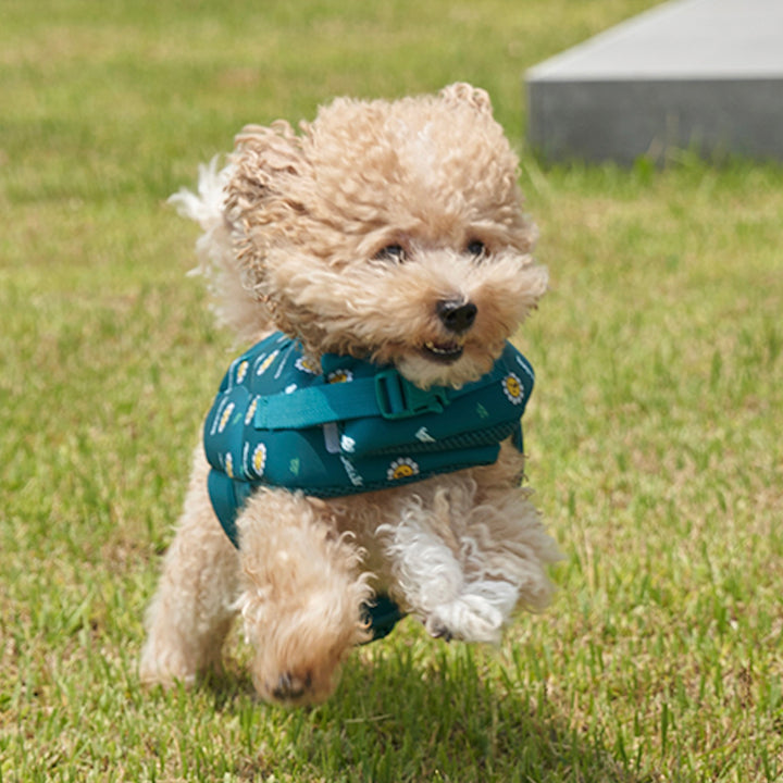 ※予約販売【Bailey】Daisy Life Jacket（4color）