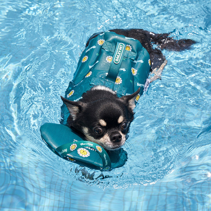 ※予約販売【Bailey】Daisy Life Jacket（4color）