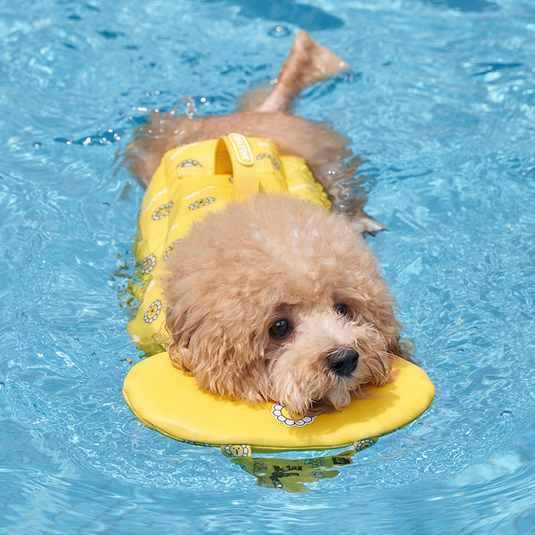 ※予約販売【Bailey】Daisy Life Jacket（4color）