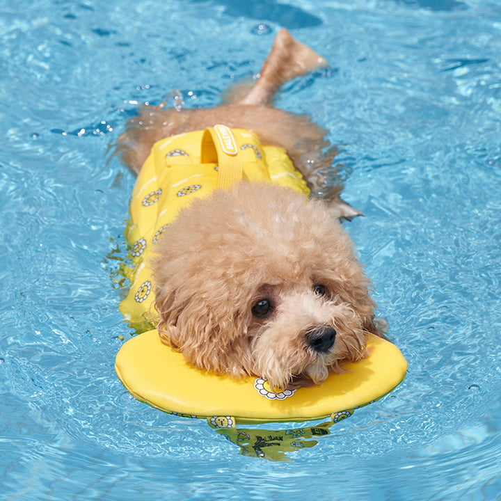 ※予約販売【Bailey】Daisy Life Jacket（4color）