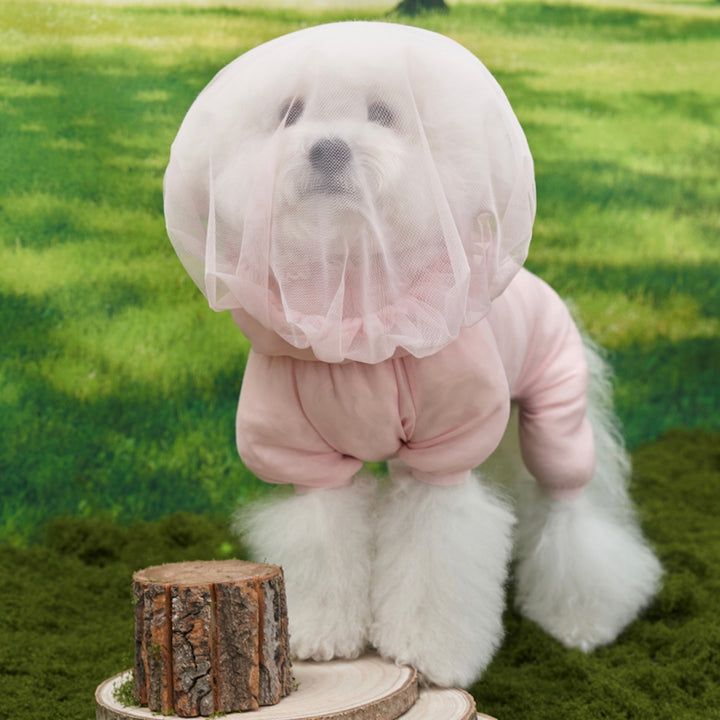 ※予約販売【Bailey】Air Shield Face Cover（4color）