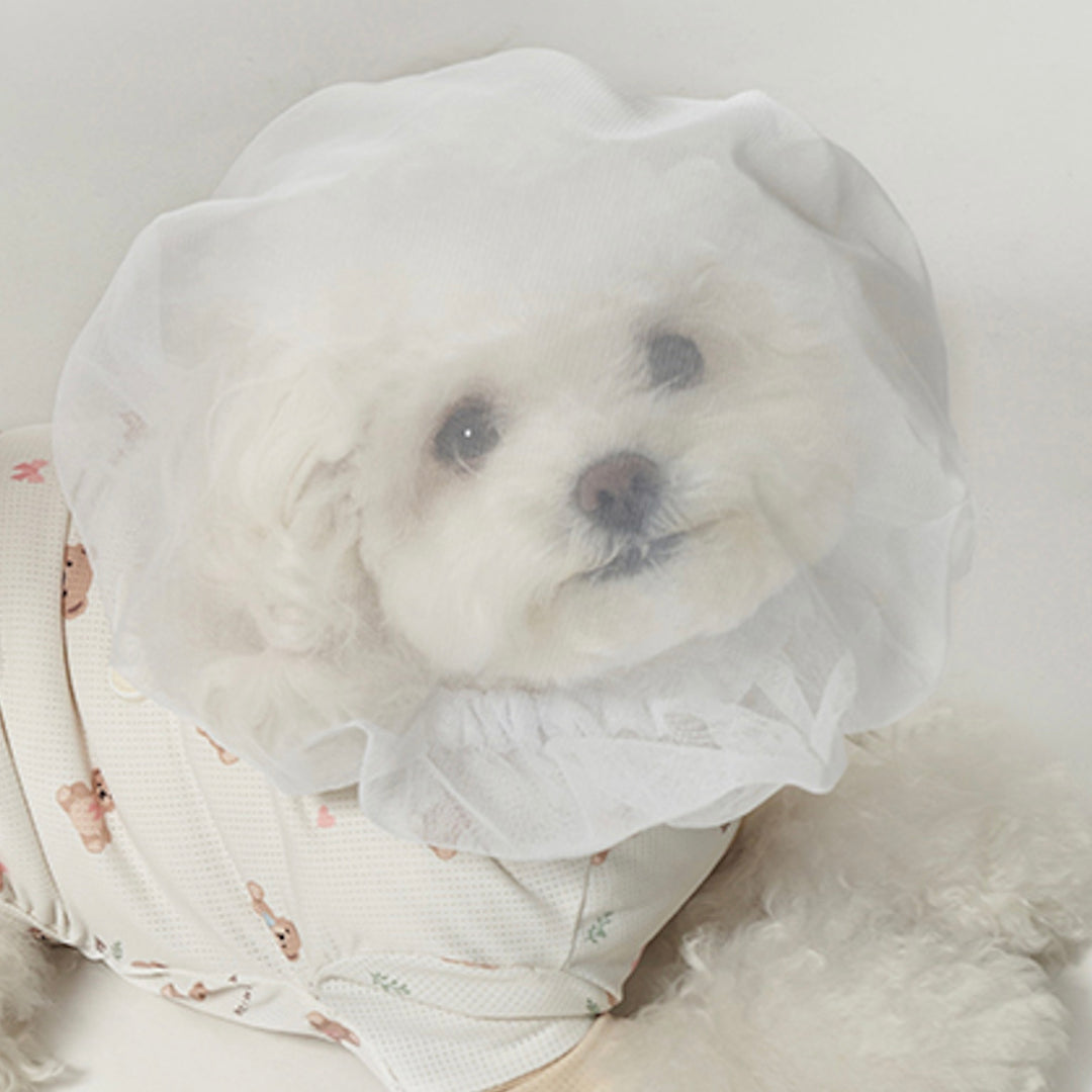 ※予約販売【Bailey】Air Shield Face Cover（4color）