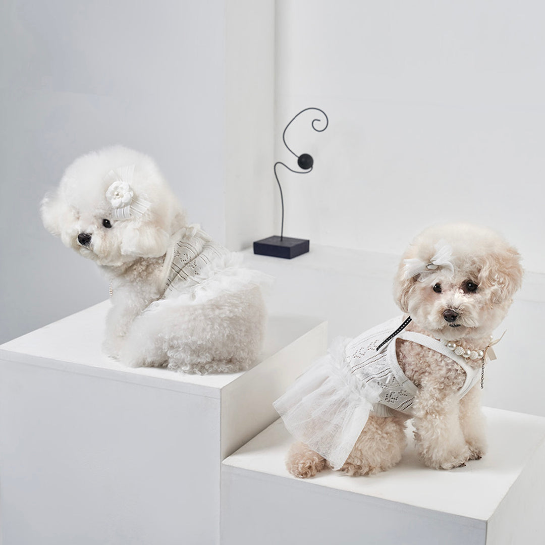 ※予約販売【Bailey】Blossom Tutu Crop One piece（White）