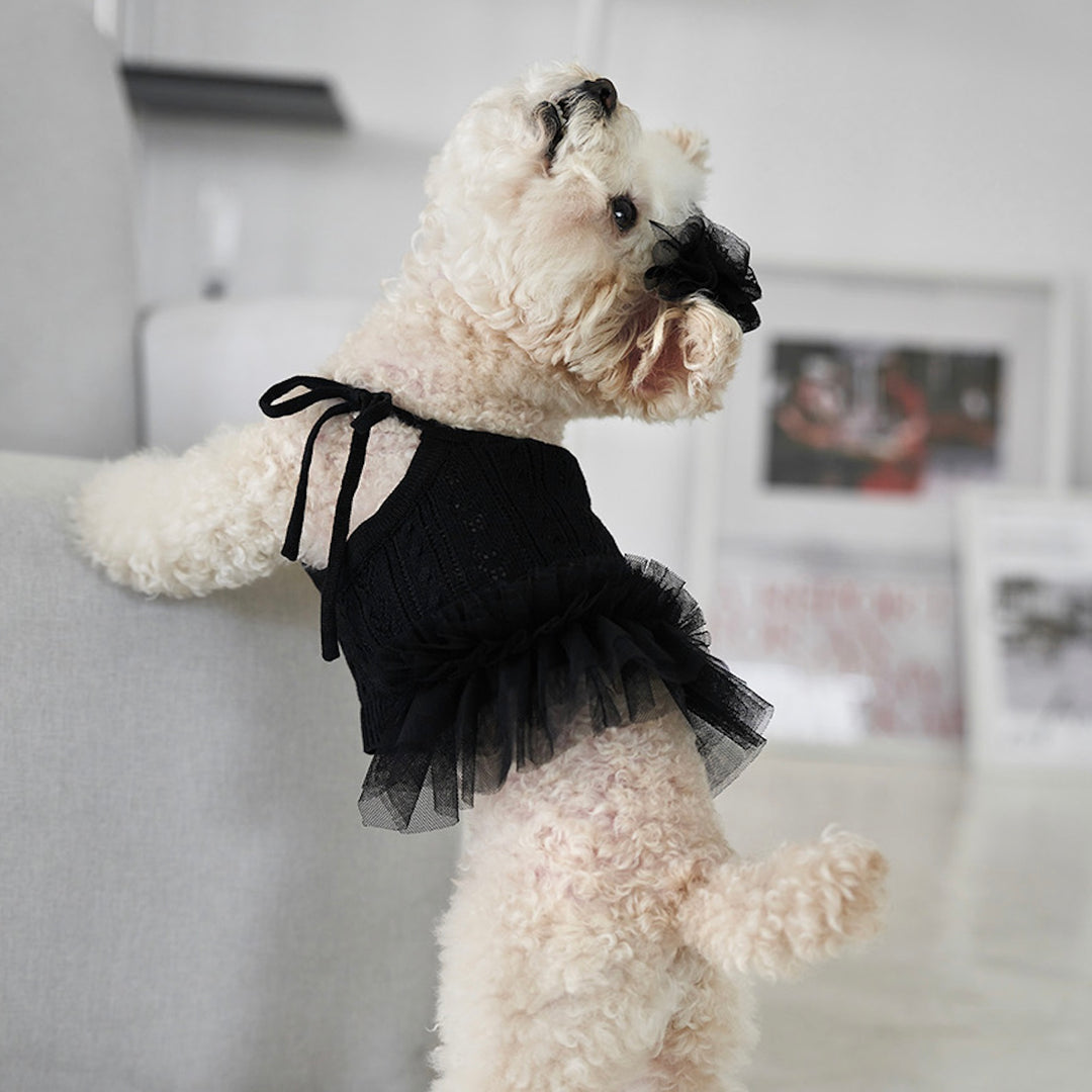 ※予約販売【Bailey】Blossom Tutu Crop One piece（Black）