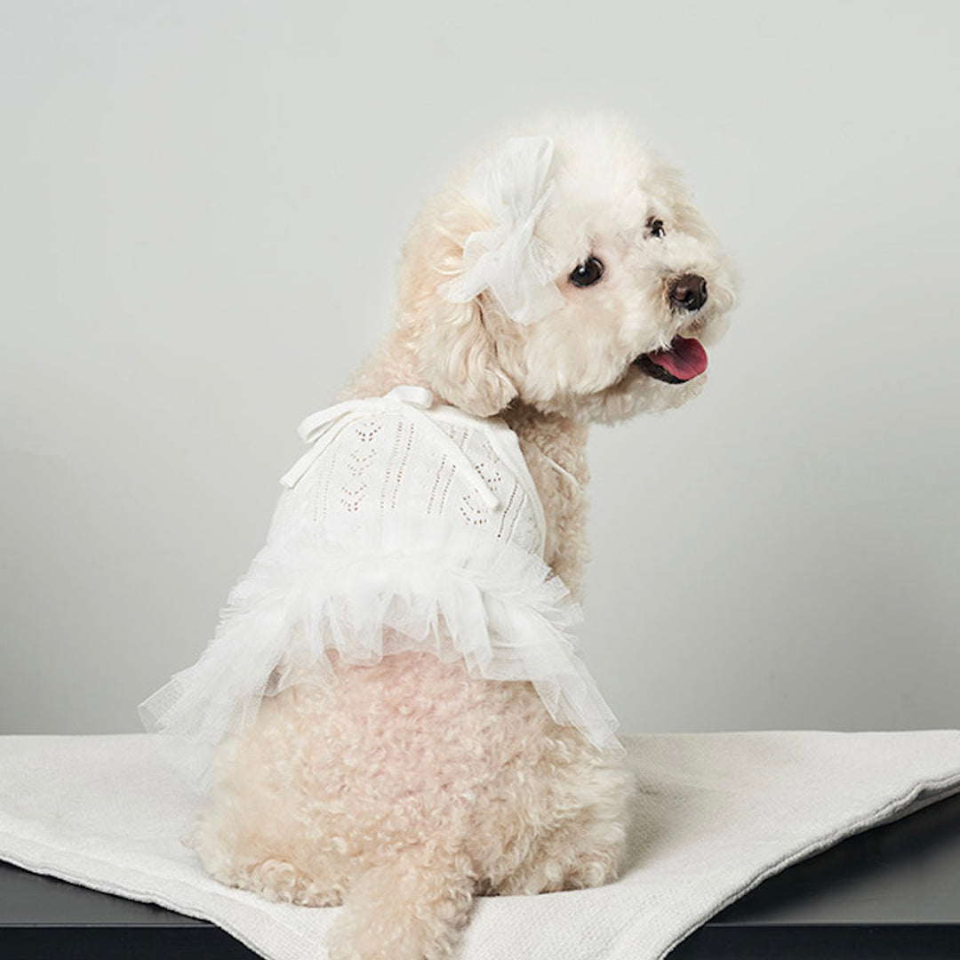 ※予約販売【Bailey】Blossom Tutu Crop One piece（White）