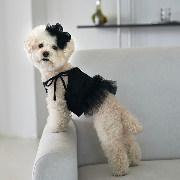 ※予約販売【Bailey】Blossom Tutu Crop One piece（Black）