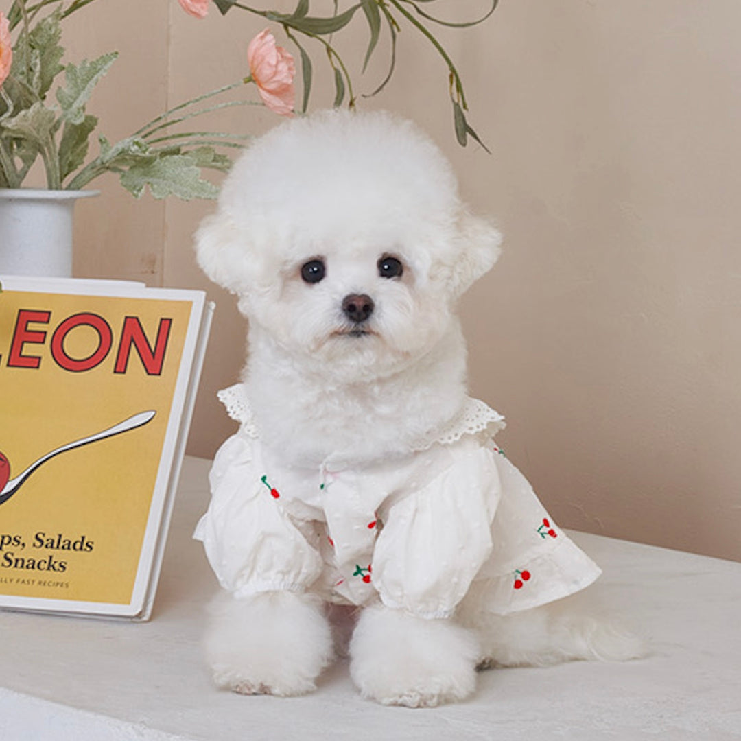 ※予約販売【Bailey】Cherry Coco Frill One Piece