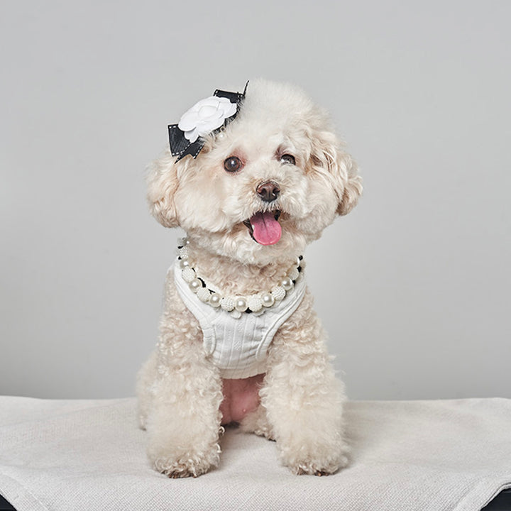 ※予約販売【Bailey】Coco Square（White）