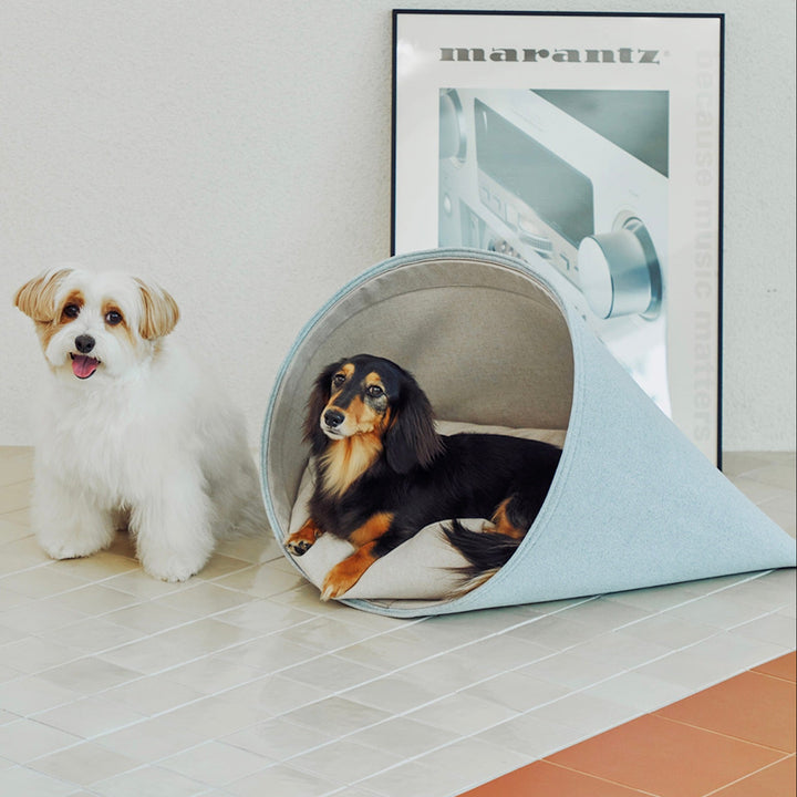 ※予約販売【HOWLPOT.】Howly（Dusty Blue）
