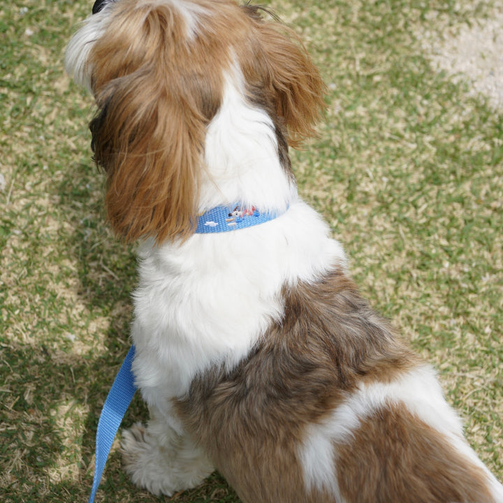※予約販売【HOWLPOT.】Adventure Leash（Sky）