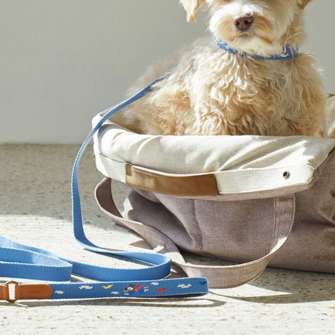 ※予約販売【HOWLPOT.】Adventure Leash（Sky）