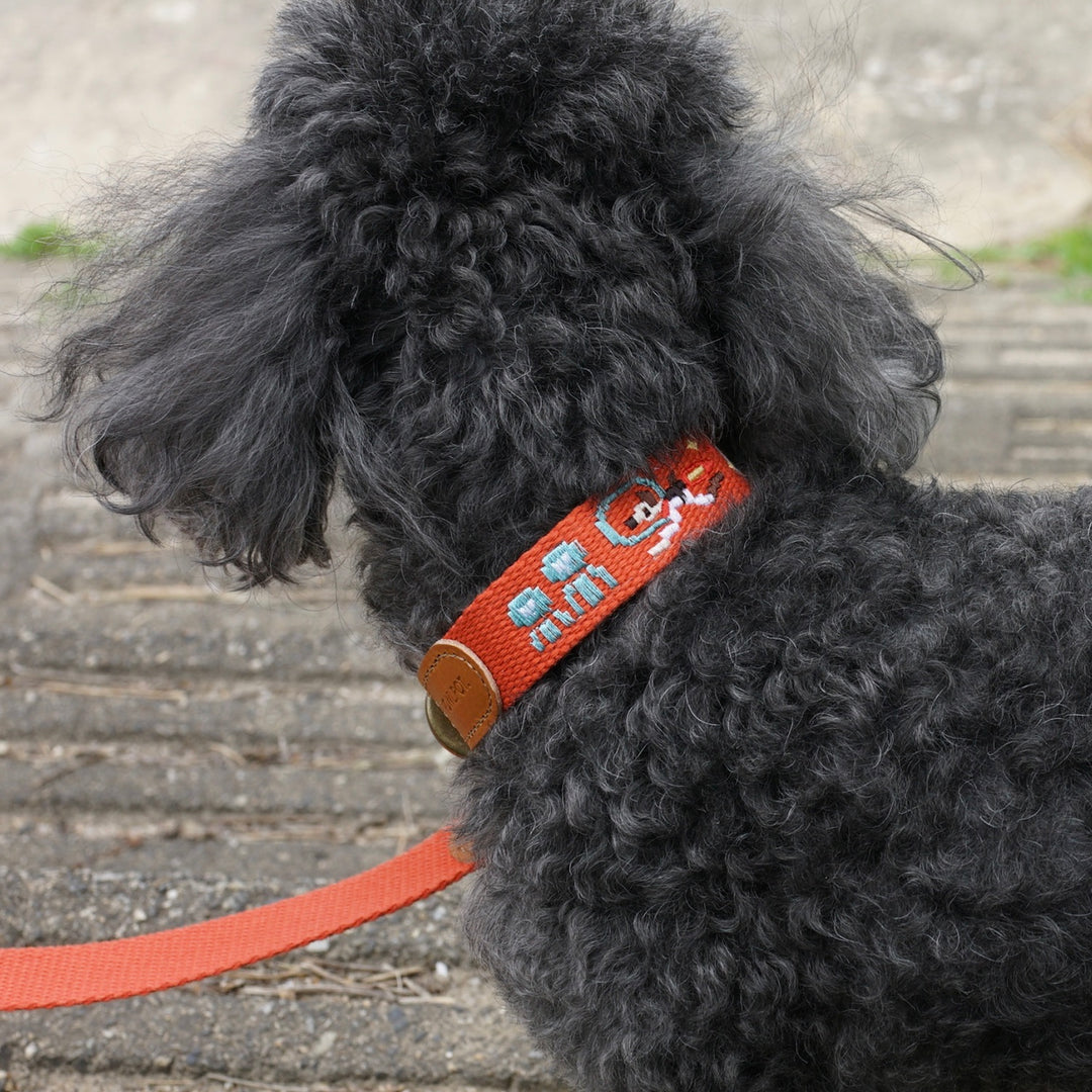 ※予約販売【HOWLPOT.】Adventure Leash（Mars）