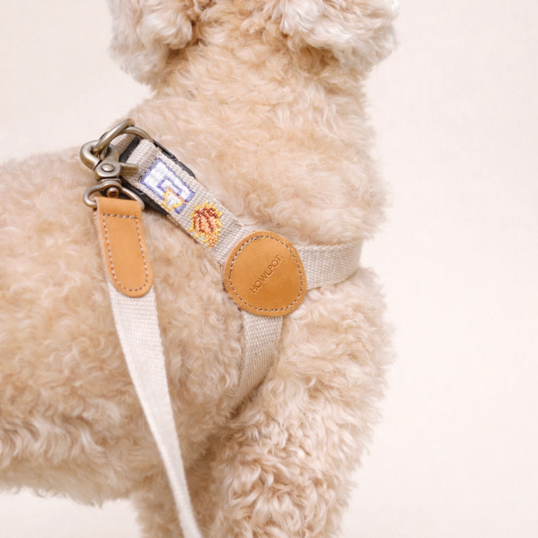 ※予約販売【HOWLPOT.】Adventure Leash（Dunk）