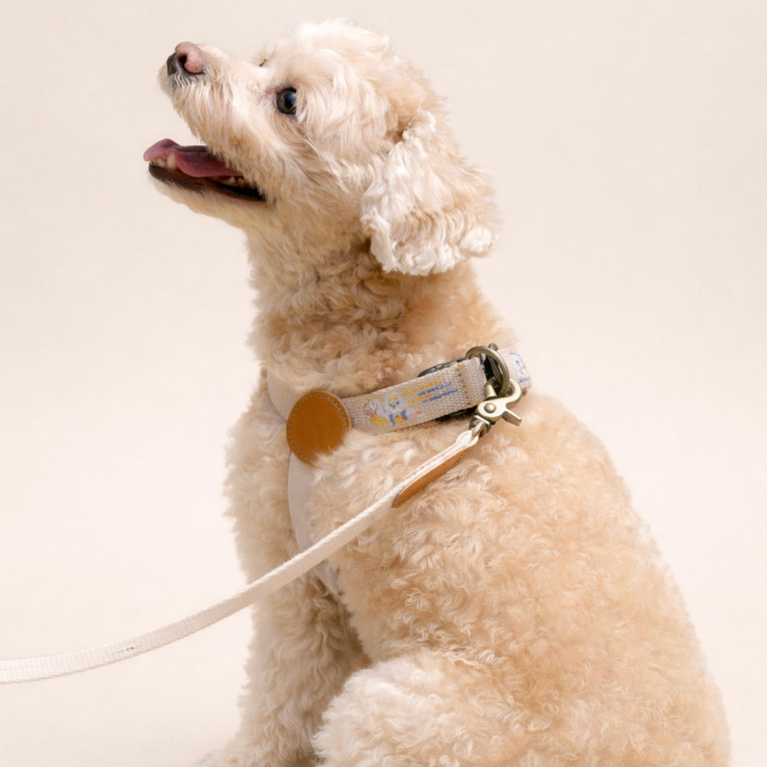 ※予約販売【HOWLPOT.】Adventure Leash（Dunk）