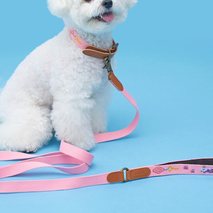 ※予約販売【HOWLPOT.】Adventure Leash（Budapest）