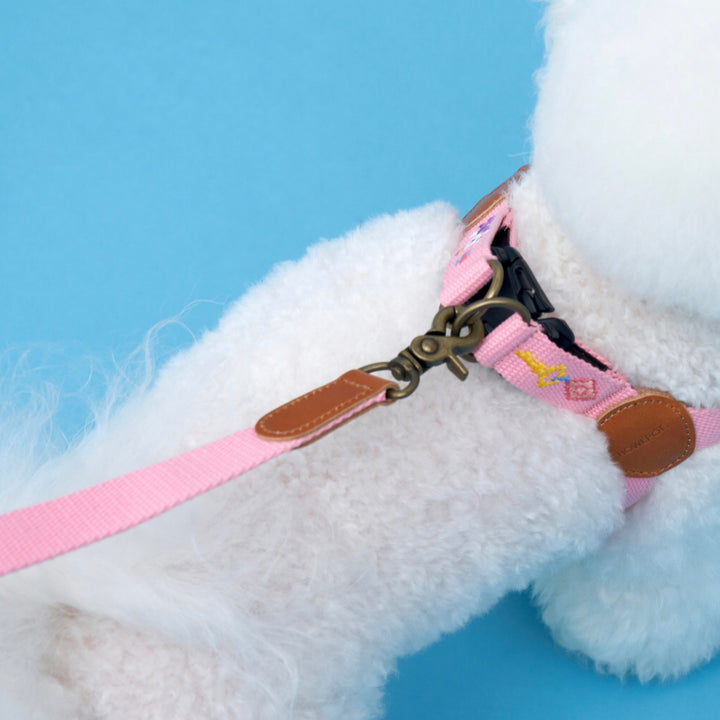 ※予約販売【HOWLPOT.】Adventure Leash（Budapest）