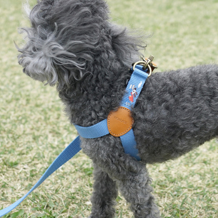 ※予約販売【HOWLPOT.】Adventure Harness（Sky）｜犬用ハーネス