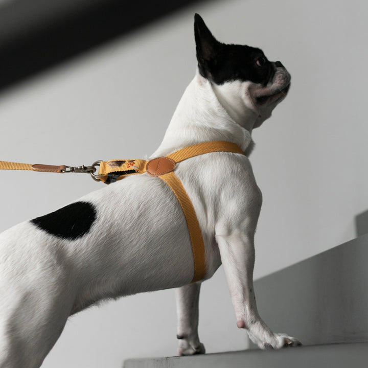 ※予約販売【HOWLPOT.】Adventure Harness（Sahara）｜犬用ハーネス