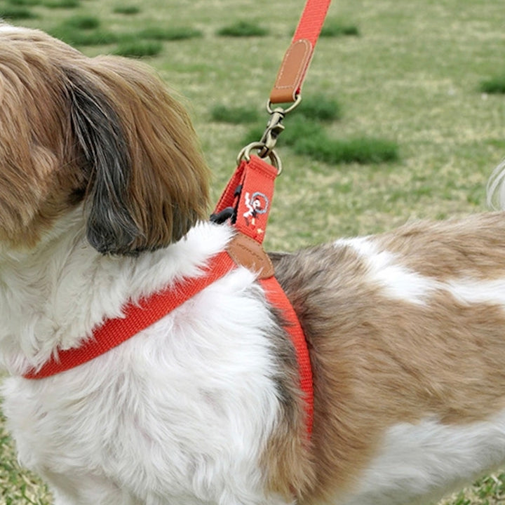 ※予約販売【HOWLPOT.】Adventure Harness（Mars）｜犬用ハーネス