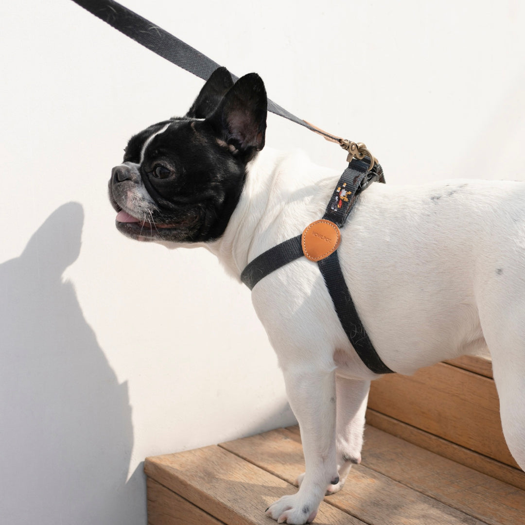 ※予約販売【HOWLPOT.】Adventure Harness（Gotham）｜犬用ハーネス