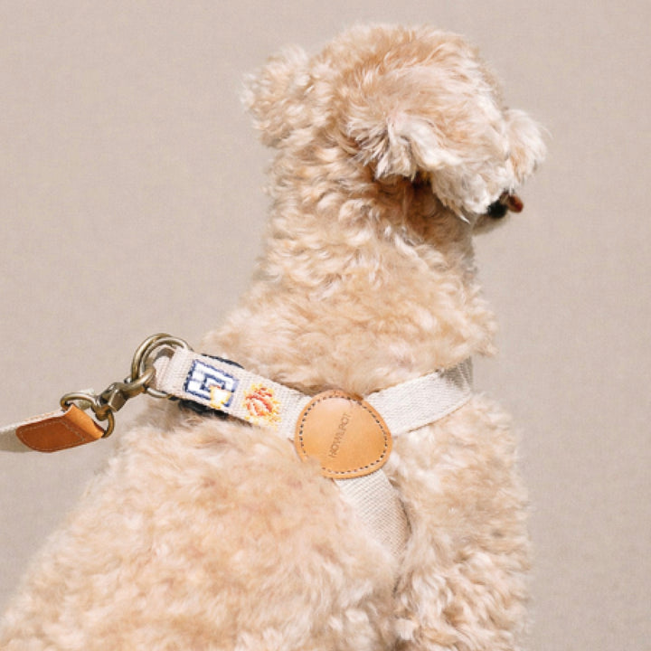※予約販売【HOWLPOT.】Adventure Harness（Dunk）｜犬用ハーネス