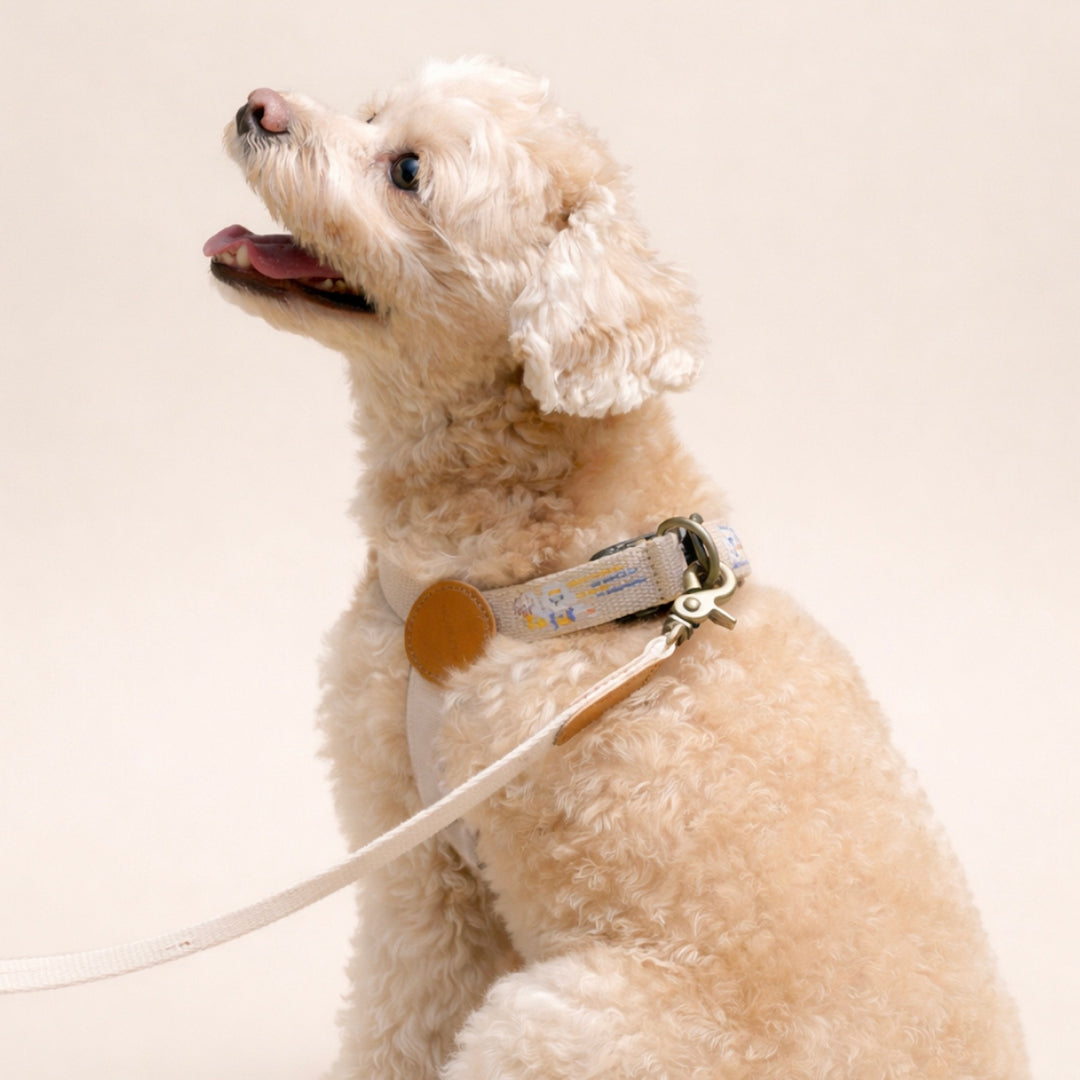 ※予約販売【HOWLPOT.】Adventure Harness（Dunk）｜犬用ハーネス