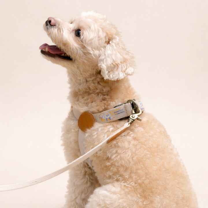※予約販売【HOWLPOT.】Adventure Harness（Dunk）｜犬用ハーネス