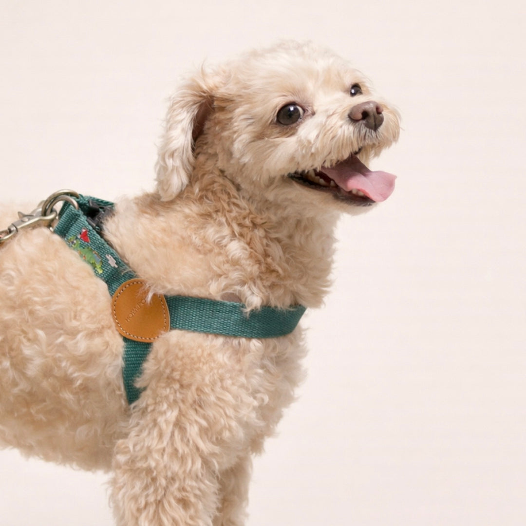 ※予約販売【HOWLPOT.】Adventure Harness（Burdie）｜犬用ハーネス