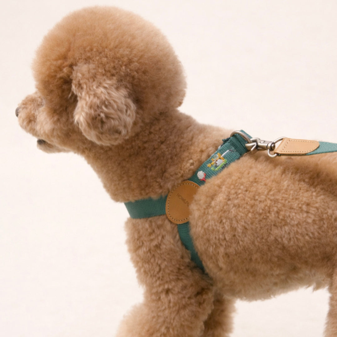 ※予約販売【HOWLPOT.】Adventure Harness（Burdie）｜犬用ハーネス