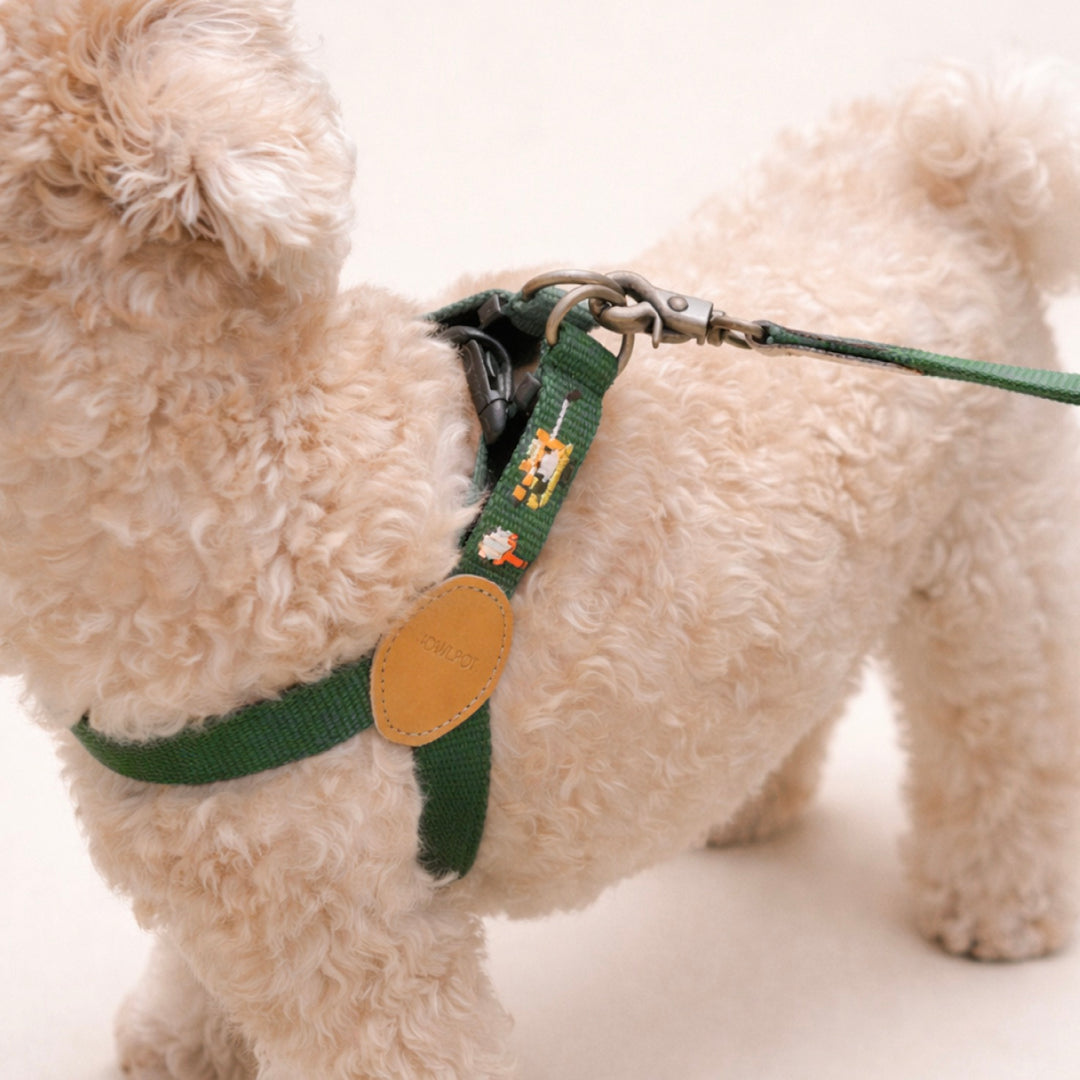 ※予約販売【HOWLPOT.】Adventure Harness（Burdie）｜犬用ハーネス