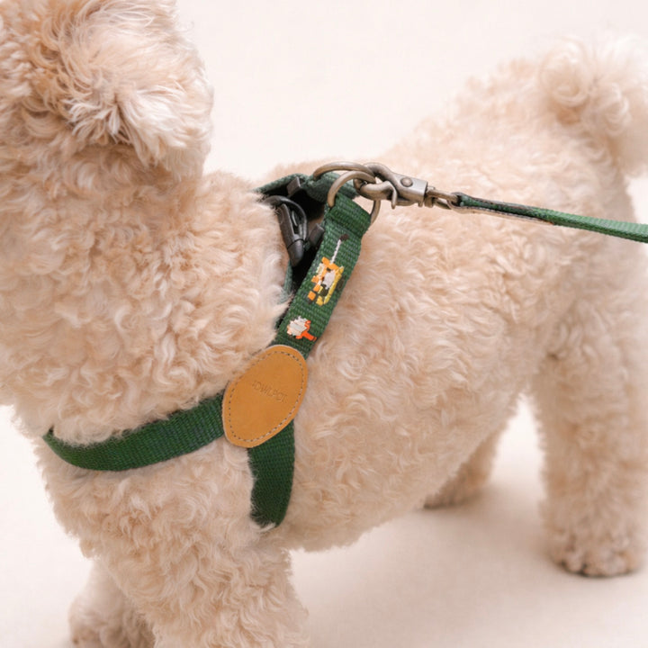 ※予約販売【HOWLPOT.】Adventure Harness（Burdie）｜犬用ハーネス