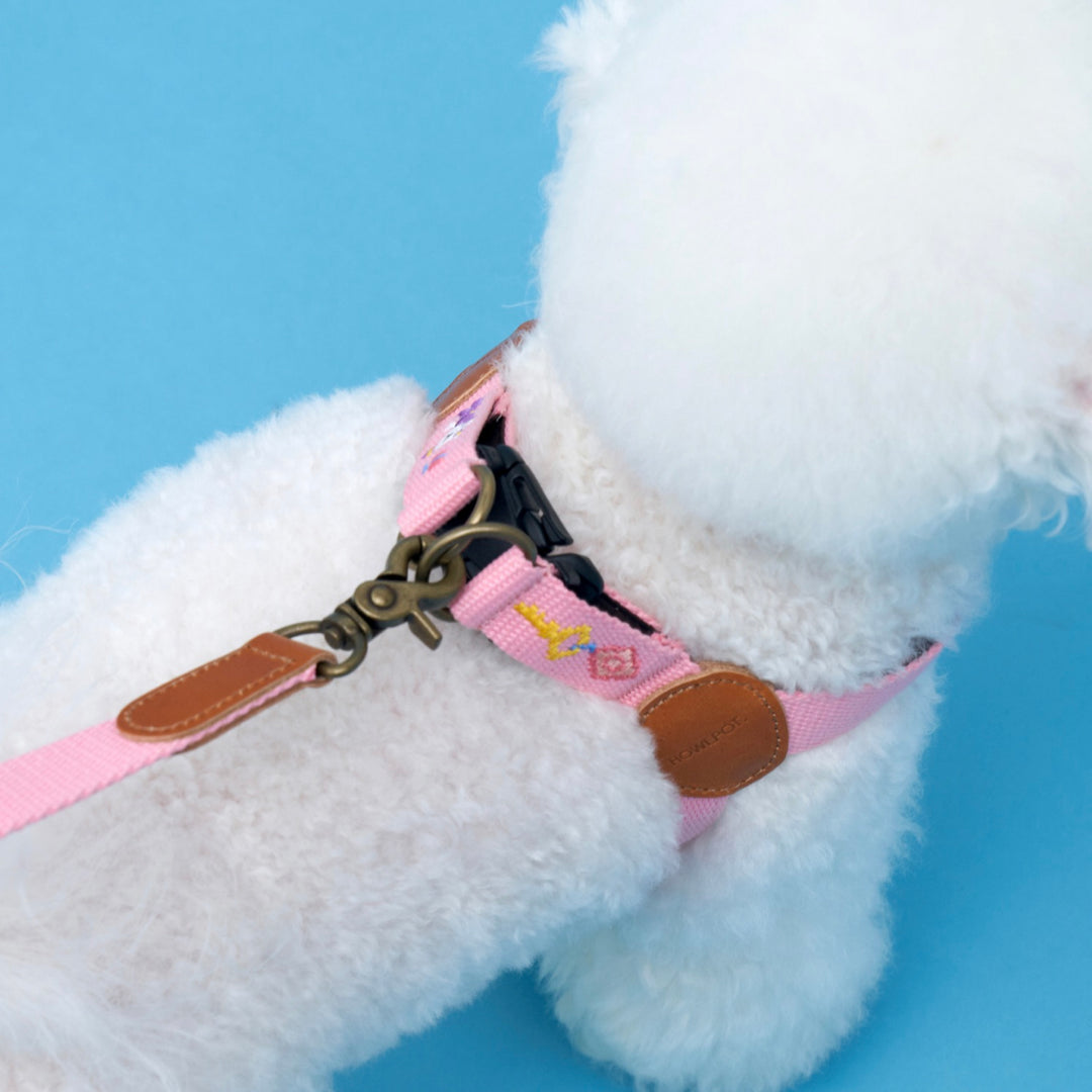 ※予約販売【HOWLPOT.】Adventure Harness（Budapest）｜犬用ハーネス