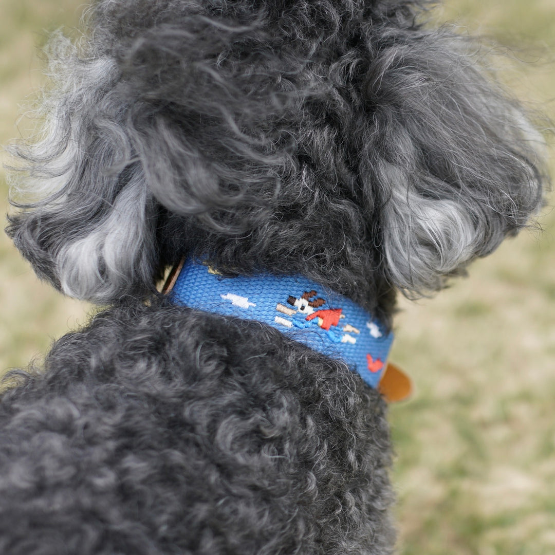 ※予約販売【HOWLPOT.】Adventure Collar（Sky）