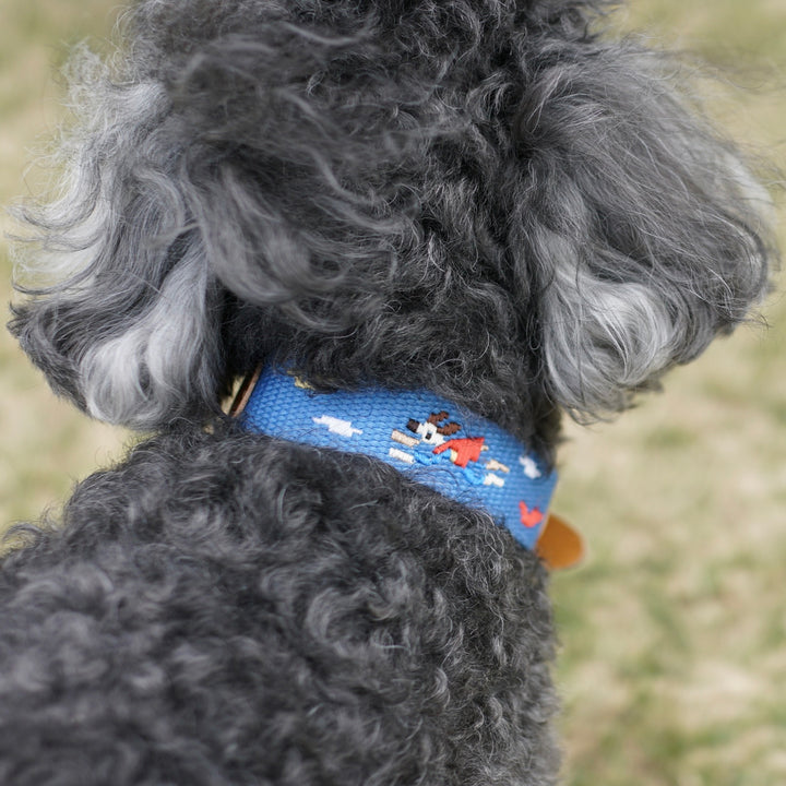 ※予約販売【HOWLPOT.】Adventure Collar（Sky）