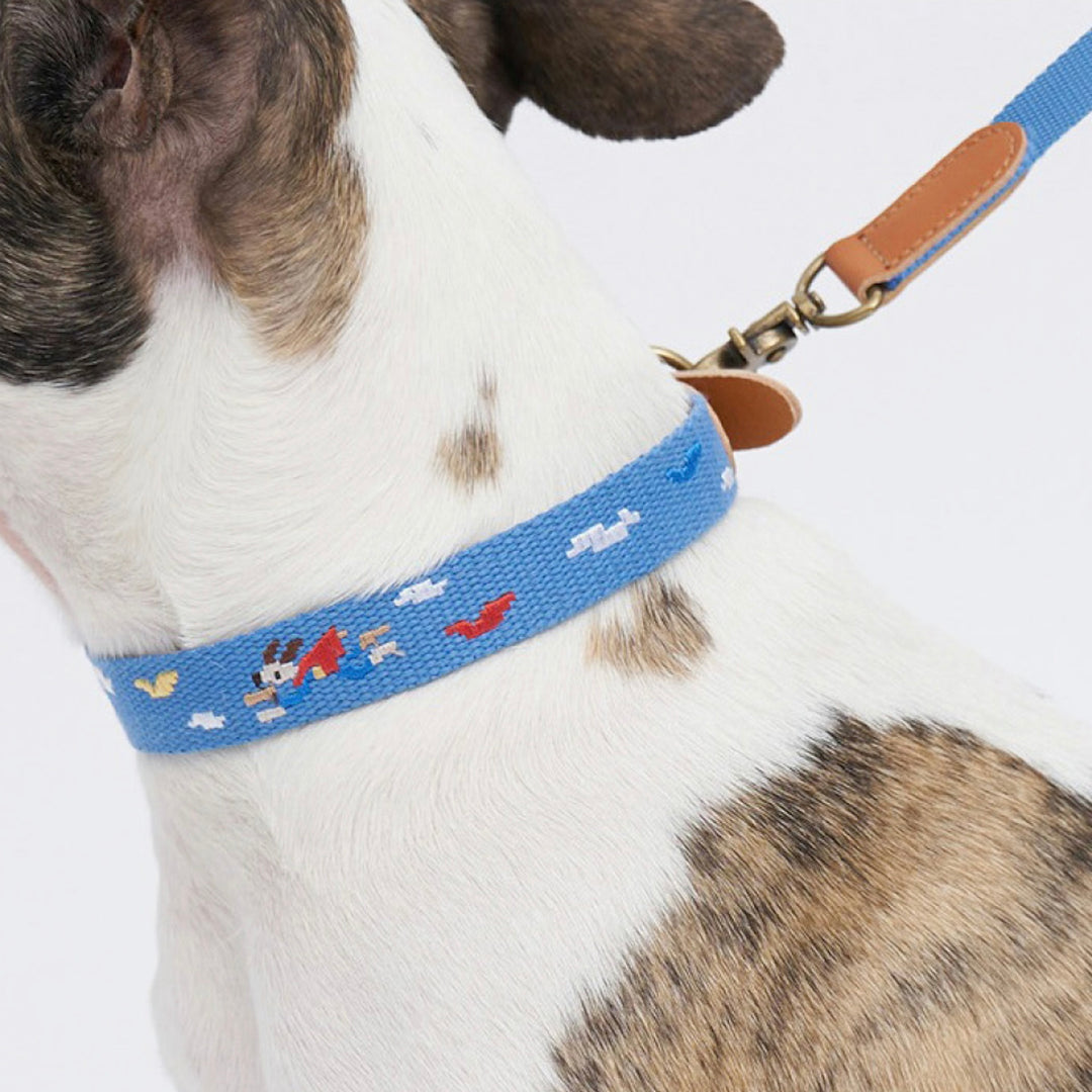 ※予約販売【HOWLPOT.】Adventure Collar（Sky）