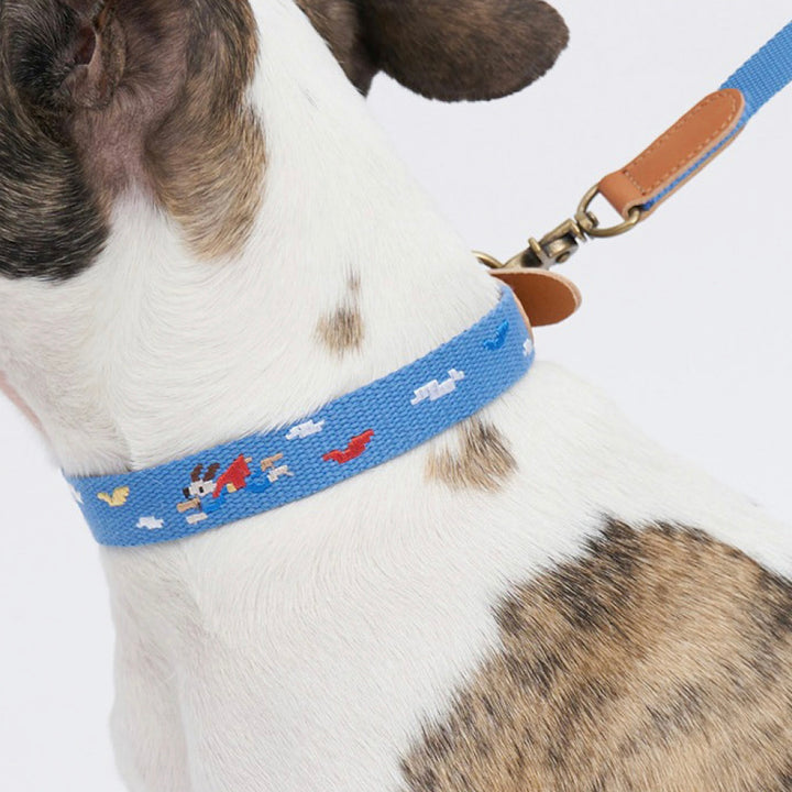 ※予約販売【HOWLPOT.】Adventure Collar（Sky）