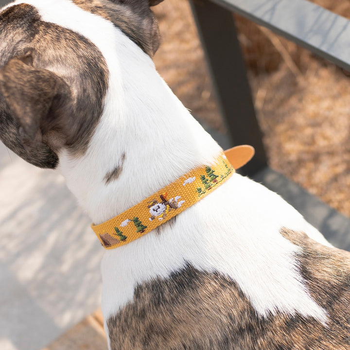 ※予約販売【HOWLPOT.】Adventure Collar（Sahara）