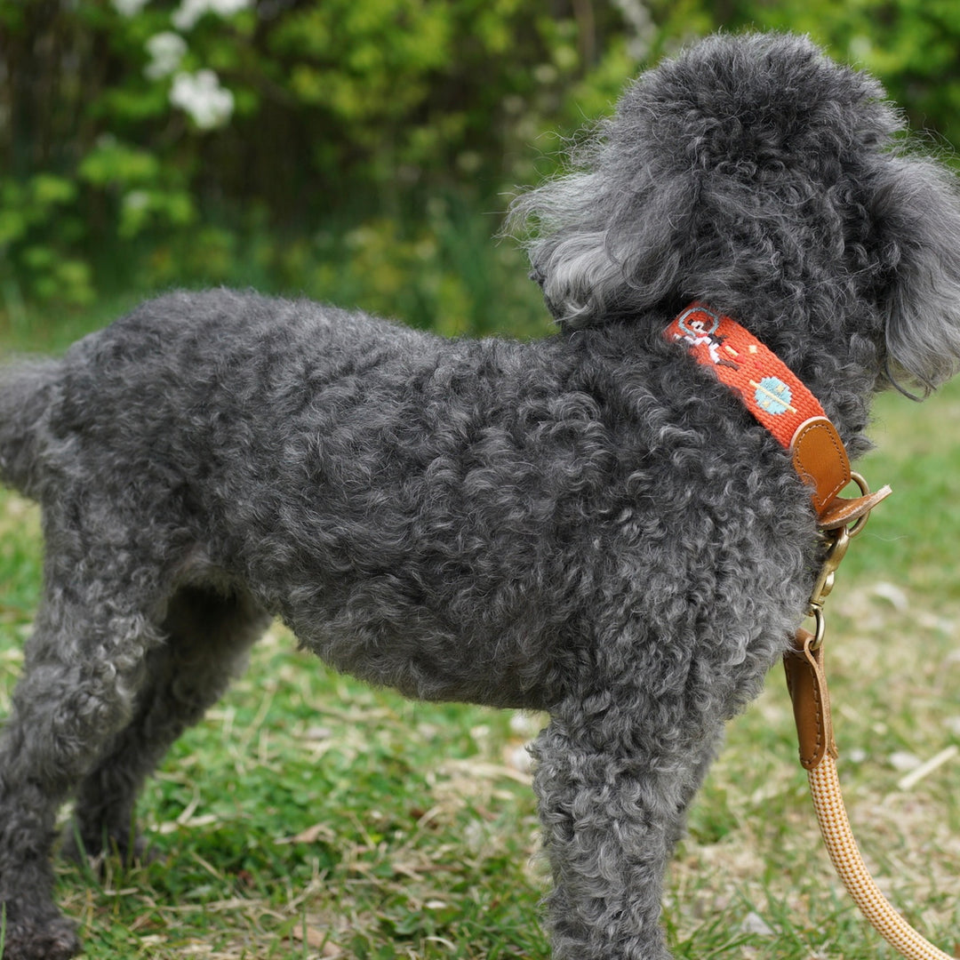 ※予約販売【HOWLPOT.】Adventure Collar（Mars）