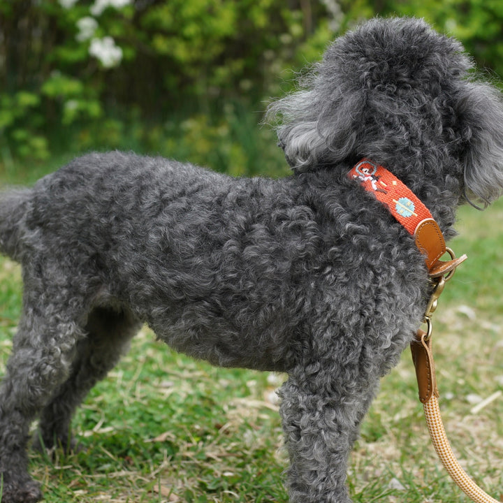 ※予約販売【HOWLPOT.】Adventure Collar（Mars）