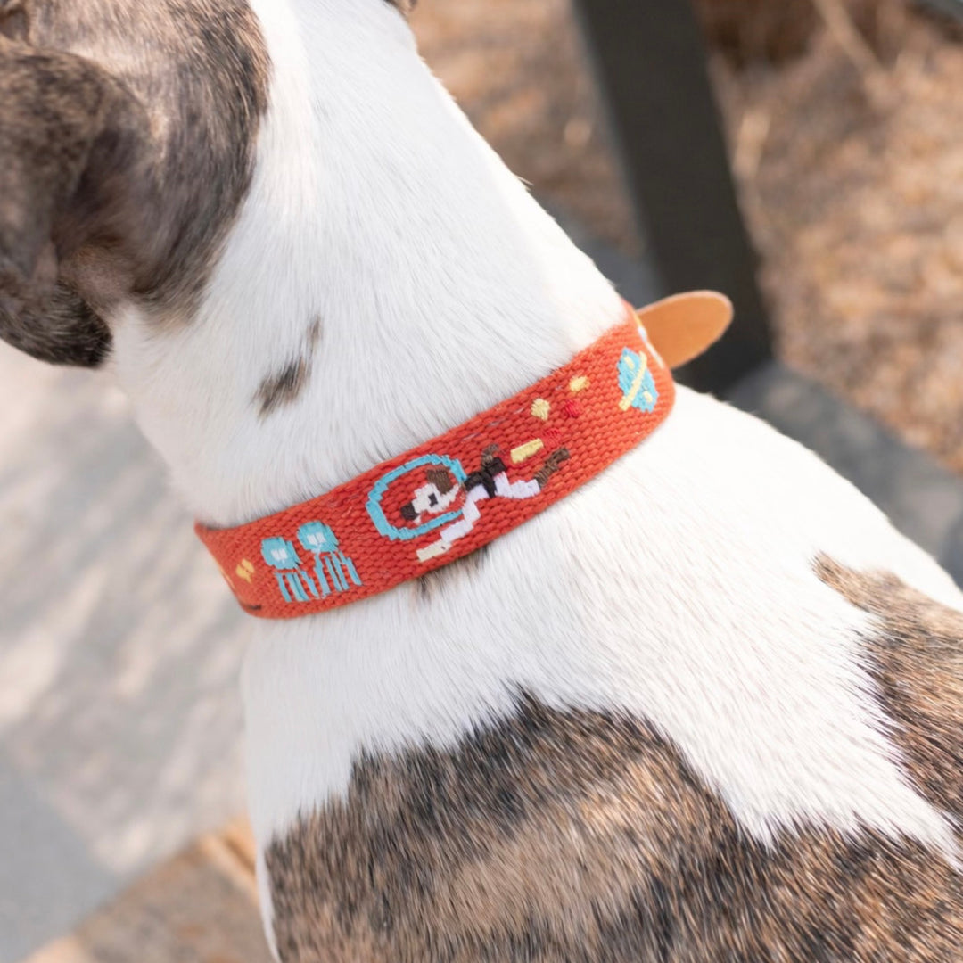 ※予約販売【HOWLPOT.】Adventure Collar（Mars）