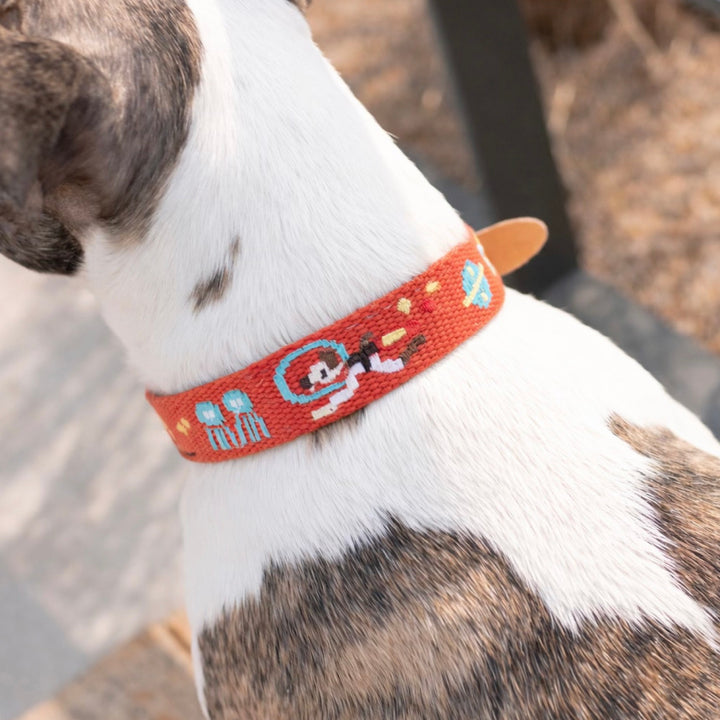 ※予約販売【HOWLPOT.】Adventure Collar（Mars）