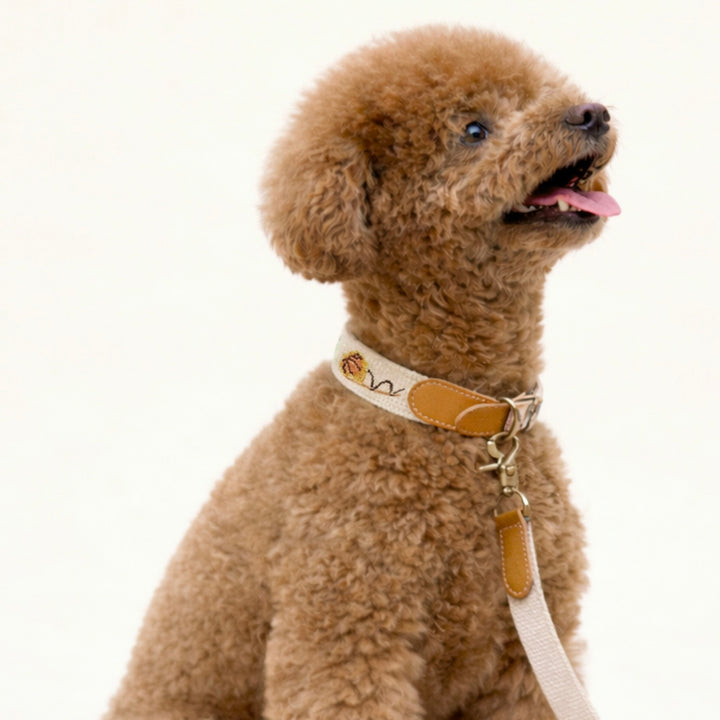 ※予約販売【HOWLPOT.】Adventure Collar（Dunk）