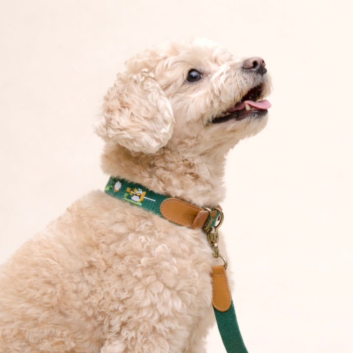 ※予約販売【HOWLPOT.】Adventure Collar（Burdie）