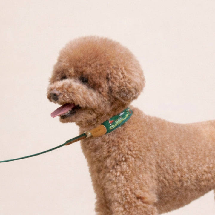 ※予約販売【HOWLPOT.】Adventure Collar（Burdie）