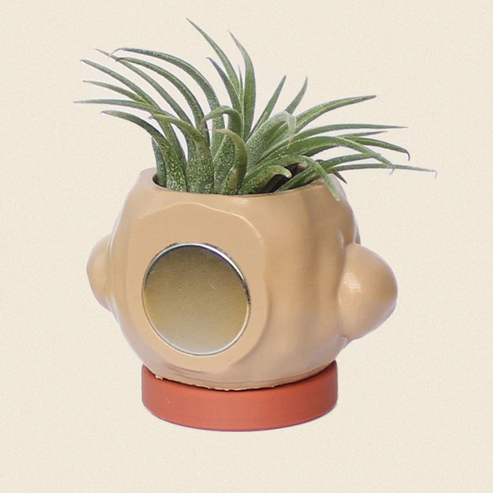※予約販売【CRR】Dog Magnet Pot（Apricot Poodle）