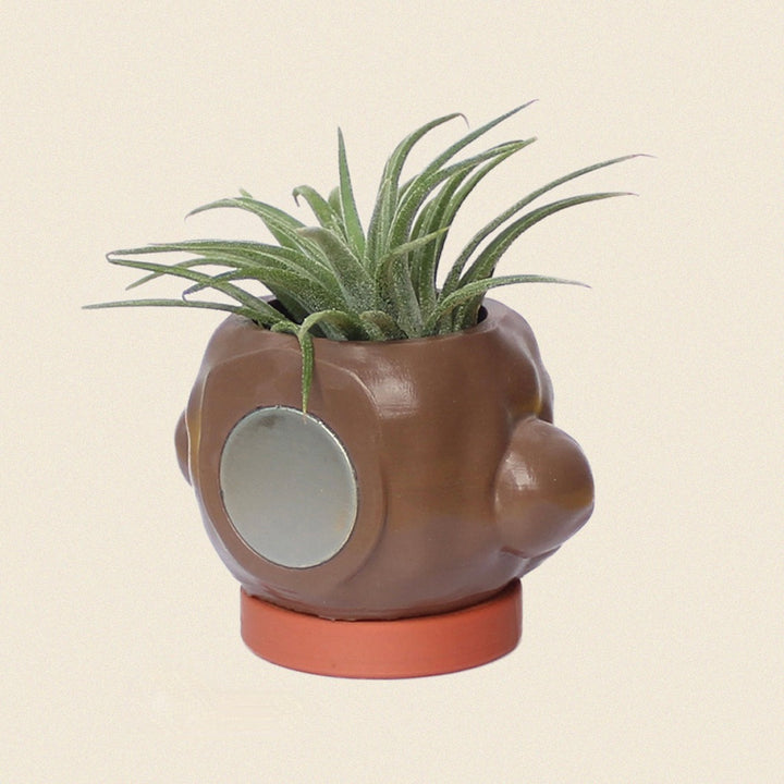 ※予約販売【CRR】Dog Magnet Pot（Brown Poodle）