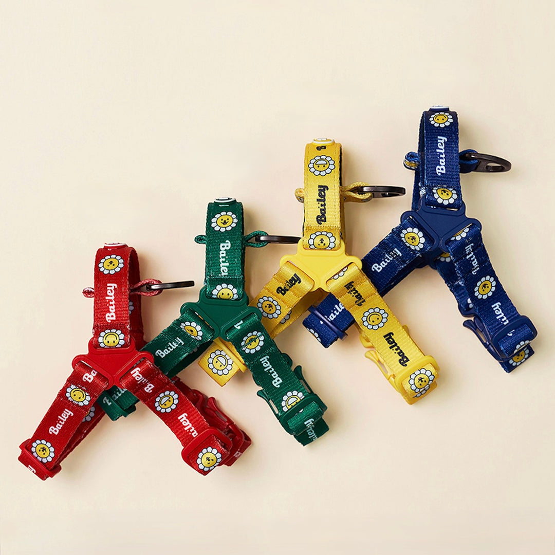 ※予約販売【Bailey】Daisy Walkie Harness（4color）