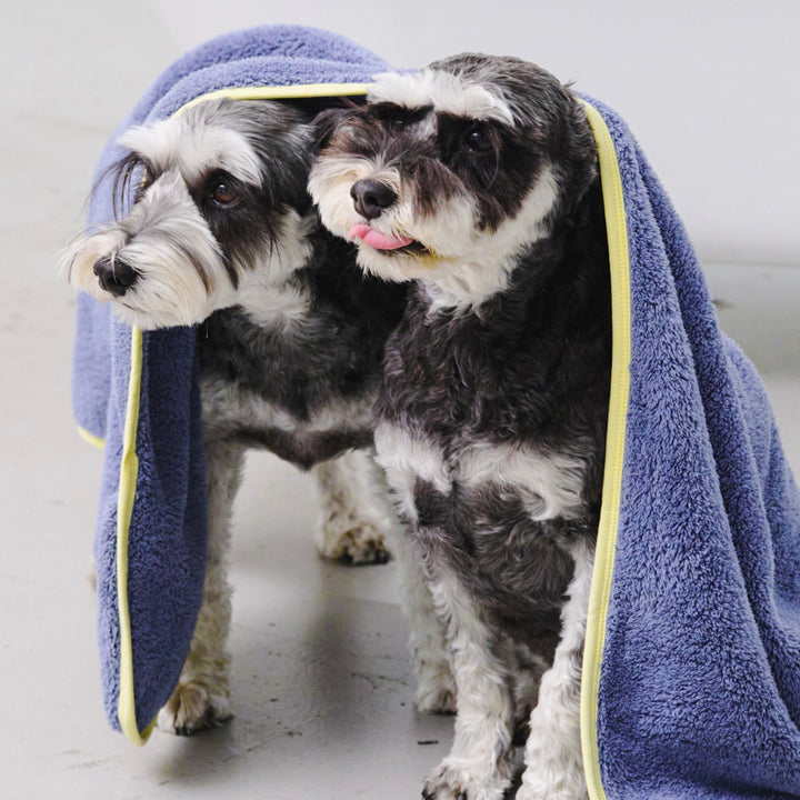 ※予約販売【munikund】Dry Hug Towel（Midnight Blue）